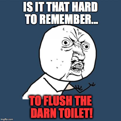 Y U No | IS IT THAT HARD TO REMEMBER... TO FLUSH THE DARN TOILET! | image tagged in memes,y u no | made w/ Imgflip meme maker