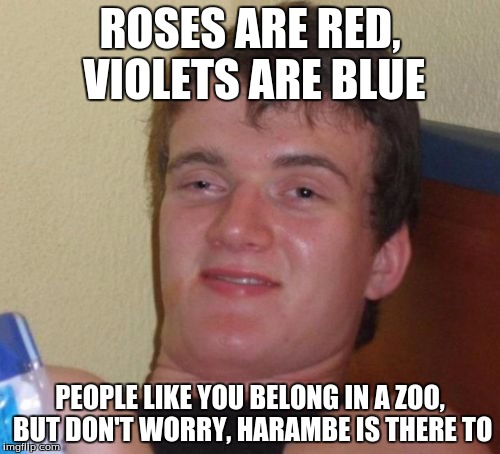 10 Guy Meme | ROSES ARE RED, VIOLETS ARE BLUE; PEOPLE LIKE YOU BELONG IN A ZOO, BUT DON'T WORRY, HARAMBE IS THERE TO | image tagged in memes,10 guy | made w/ Imgflip meme maker