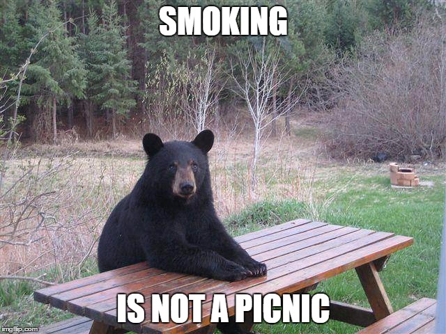 Bear at Picnic Table | SMOKING; IS NOT A PICNIC | image tagged in bear at picnic table | made w/ Imgflip meme maker