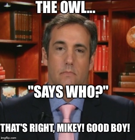 I Couldn't Resist...This Guy Made Himself Look SO BAD: | THE OWL... "SAYS WHO?"; THAT'S RIGHT, MIKEY! GOOD BOY! | image tagged in michael cohen,memes,says who | made w/ Imgflip meme maker
