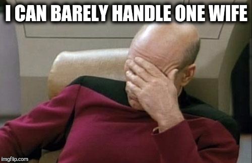 Captain Picard Facepalm Meme | I CAN BARELY HANDLE ONE WIFE | image tagged in memes,captain picard facepalm | made w/ Imgflip meme maker