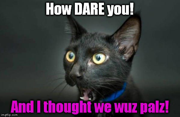 How DARE you! And I thought we wuz palz! | image tagged in omg kitten | made w/ Imgflip meme maker