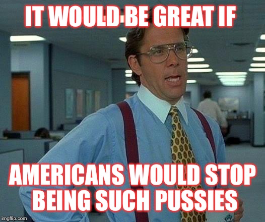 That Would Be Great | IT WOULD BE GREAT IF; AMERICANS WOULD STOP BEING SUCH PUSSIES | image tagged in memes,that would be great | made w/ Imgflip meme maker