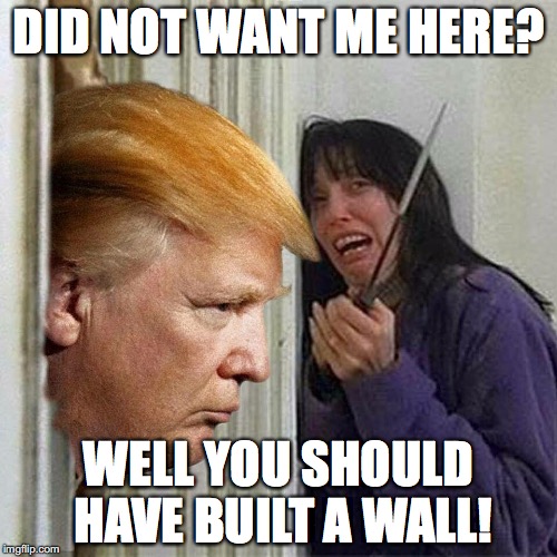 Donald trump here's Donny | DID NOT WANT ME HERE? WELL YOU SHOULD HAVE BUILT A WALL! | image tagged in donald trump here's donny | made w/ Imgflip meme maker