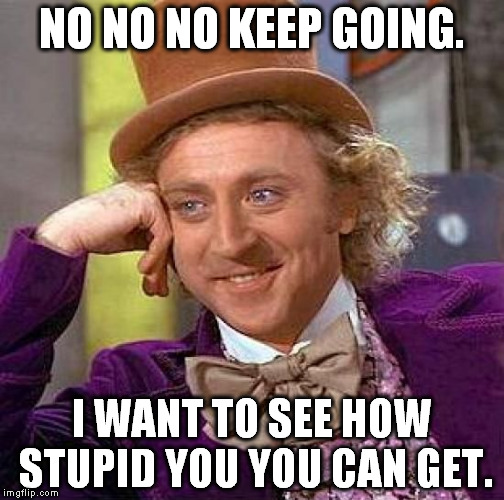 listening to stupid people talking | NO NO NO KEEP GOING. I WANT TO SEE HOW STUPID YOU YOU CAN GET. | image tagged in memes,creepy condescending wonka | made w/ Imgflip meme maker