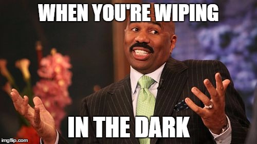 here's hoping | WHEN YOU'RE WIPING; IN THE DARK | image tagged in memes,steve harvey,poop | made w/ Imgflip meme maker