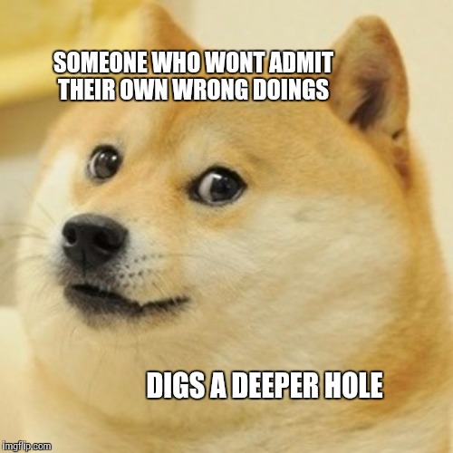 Doge Meme | SOMEONE WHO WONT ADMIT THEIR OWN WRONG DOINGS; DIGS A DEEPER HOLE | image tagged in memes,doge | made w/ Imgflip meme maker