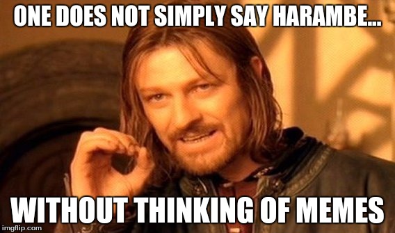 One Does Not Simply | ONE DOES NOT SIMPLY SAY HARAMBE... WITHOUT THINKING OF MEMES | image tagged in memes,one does not simply | made w/ Imgflip meme maker