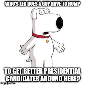 Family Guy Brian | WHO'S LEG DOES A GUY HAVE TO HUMP; TO GET BETTER PRESIDENTIAL CANDIDATES AROUND HERE? | image tagged in memes,family guy brian | made w/ Imgflip meme maker