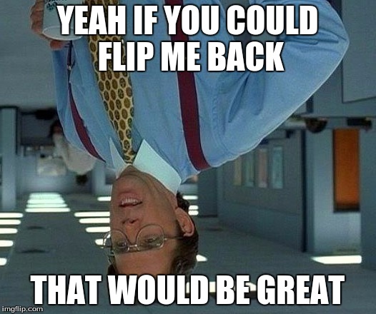 That Would Be Great | YEAH IF YOU COULD FLIP ME BACK; THAT WOULD BE GREAT | image tagged in memes,that would be great | made w/ Imgflip meme maker