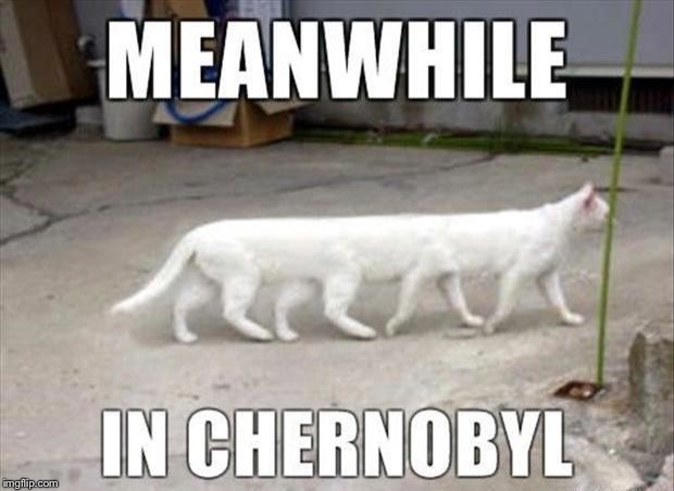 image tagged in lol | made w/ Imgflip meme maker