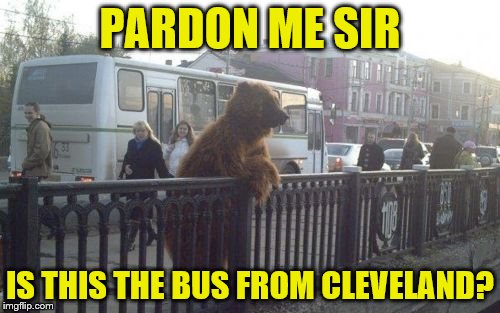 City Bear | PARDON ME SIR; IS THIS THE BUS FROM CLEVELAND? | image tagged in memes,city bear | made w/ Imgflip meme maker
