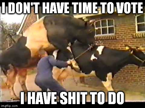 I DON'T HAVE TIME TO VOTE I HAVE SHIT TO DO | made w/ Imgflip meme maker