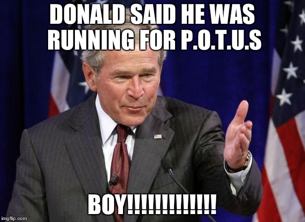 Boy!! | DONALD SAID HE WAS RUNNING FOR P.O.T.U.S; BOY!!!!!!!!!!!!! | image tagged in boy | made w/ Imgflip meme maker