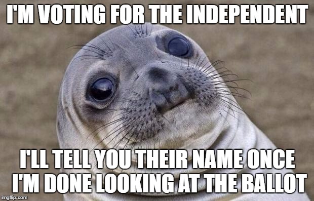 Awkward Moment Sealion Meme | I'M VOTING FOR THE INDEPENDENT I'LL TELL YOU THEIR NAME ONCE I'M DONE LOOKING AT THE BALLOT | image tagged in memes,awkward moment sealion | made w/ Imgflip meme maker