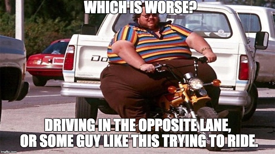 WHICH IS WORSE? DRIVING IN THE OPPOSITE LANE, OR SOME GUY LIKE THIS TRYING TO RIDE. | image tagged in hardcore simluator | made w/ Imgflip meme maker