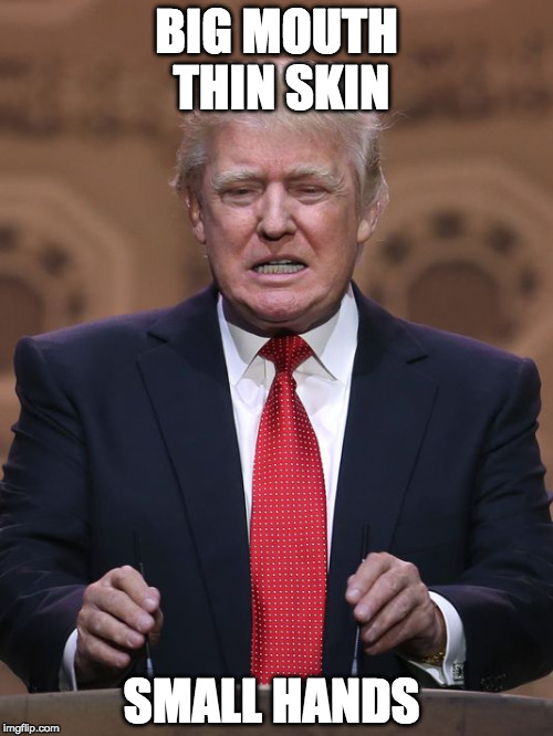 Donald Trump | BIG MOUTH THIN SKIN; SMALL HANDS | image tagged in donald trump | made w/ Imgflip meme maker