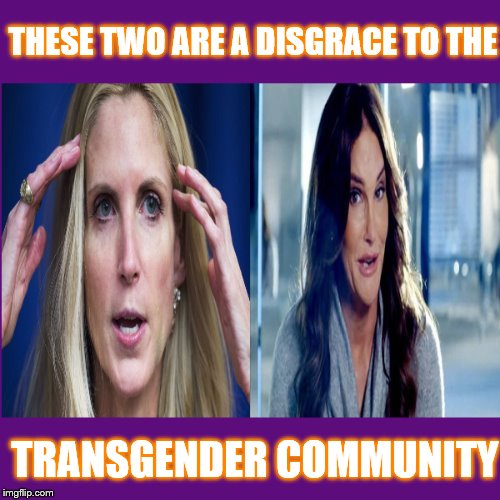 TRANSGENDERS  | THESE TWO ARE A DISGRACE TO THE; TRANSGENDER COMMUNITY | image tagged in ann coulter,bruce jenner,transgender,disgrace | made w/ Imgflip meme maker