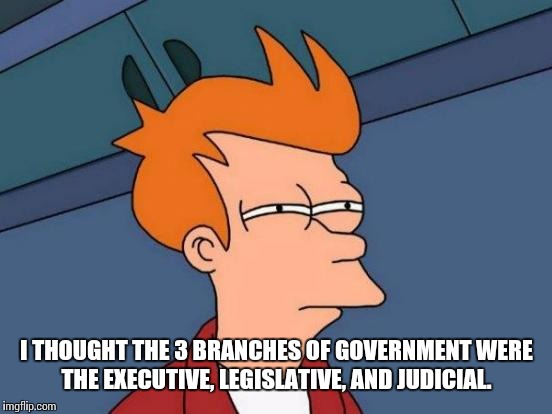 Futurama Fry Meme | I THOUGHT THE 3 BRANCHES OF GOVERNMENT WERE THE EXECUTIVE, LEGISLATIVE, AND JUDICIAL. | image tagged in memes,futurama fry | made w/ Imgflip meme maker