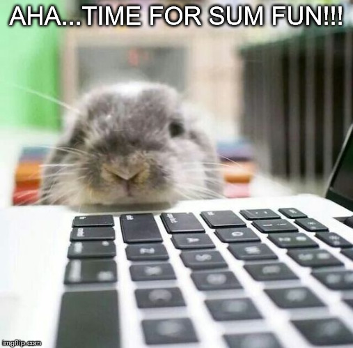 Fun | AHA...TIME FOR SUM FUN!!! | image tagged in memes | made w/ Imgflip meme maker