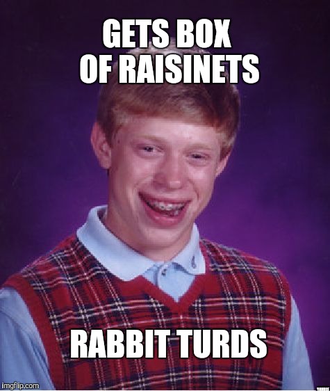 Bad Luck Brian Meme | GETS BOX OF RAISINETS; RABBIT TURDS; YAHBLE | image tagged in memes,bad luck brian | made w/ Imgflip meme maker