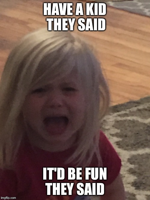 HAVE A KID THEY SAID; IT'D BE FUN THEY SAID | image tagged in kids | made w/ Imgflip meme maker
