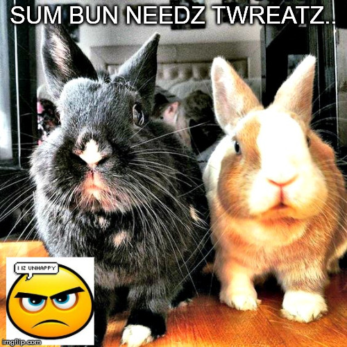 Twreatz | SUM BUN NEEDZ TWREATZ.. | image tagged in memes | made w/ Imgflip meme maker