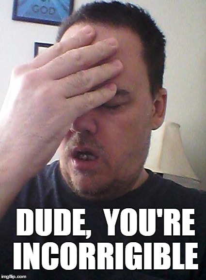 face palm | DUDE,  YOU'RE INCORRIGIBLE | image tagged in face palm | made w/ Imgflip meme maker