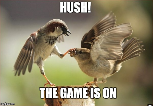 Be still! |  HUSH! THE GAME IS ON; YAHBLE | image tagged in please be quiet | made w/ Imgflip meme maker