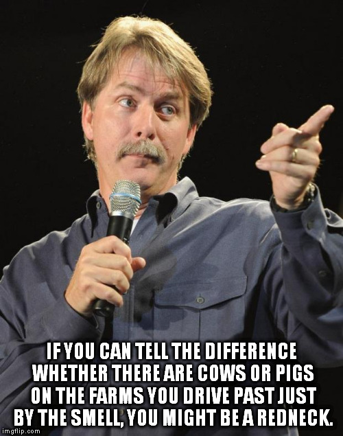After lots of Googling, I didn't see this one on Jeff's list... GUILTY! | IF YOU CAN TELL THE DIFFERENCE WHETHER THERE ARE COWS OR PIGS ON THE FARMS YOU DRIVE PAST JUST BY THE SMELL, YOU MIGHT BE A REDNECK. | image tagged in jeff foxworthy,you might be a redneck if,memes | made w/ Imgflip meme maker