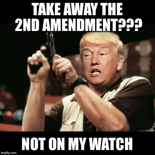 Trump Is The Only One Who | TAKE AWAY THE 2ND AMENDMENT??? NOT ON MY WATCH | image tagged in trump is the only one who | made w/ Imgflip meme maker