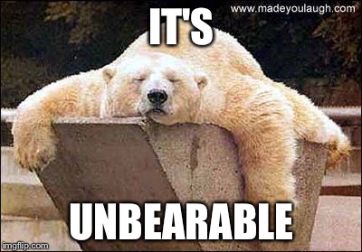 polar bear | IT'S; UNBEARABLE | image tagged in polar bear | made w/ Imgflip meme maker