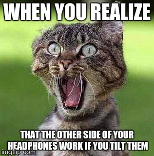 Happens to me all the time. | WHEN YOU REALIZE; THAT THE OTHER SIDE OF YOUR HEADPHONES WORK IF YOU TILT THEM | image tagged in shocked cat | made w/ Imgflip meme maker