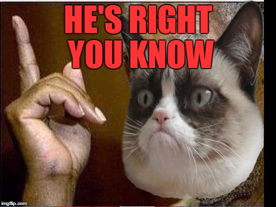 Grumpy Cat He's Right You Know | HE'S RIGHT YOU KNOW | image tagged in grumpy cat he's right you know | made w/ Imgflip meme maker
