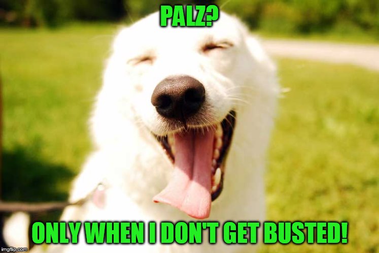 PALZ? ONLY WHEN I DON'T GET BUSTED! | made w/ Imgflip meme maker