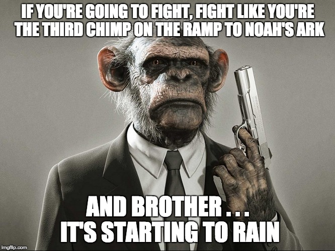 If you're going to fight, don't do it half-assed. | IF YOU'RE GOING TO FIGHT, FIGHT LIKE YOU'RE THE THIRD CHIMP ON THE RAMP TO NOAH'S ARK; AND BROTHER . . . IT'S STARTING TO RAIN | image tagged in chimpanzee with gun,fight,street fighter,never give up | made w/ Imgflip meme maker