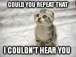 Sad Cat Meme | COULD YOU REPEAT THAT; I COULDN'T HEAR YOU | image tagged in memes,sad cat | made w/ Imgflip meme maker