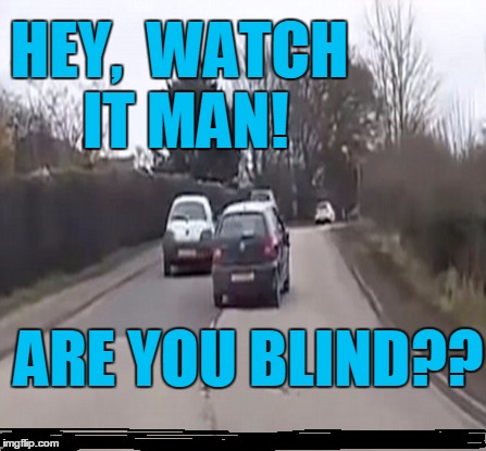 HEY,  WATCH IT MAN! ARE YOU BLIND?? | made w/ Imgflip meme maker