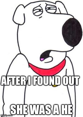 Brian Griffin | AFTER I FOUND OUT; SHE WAS A HE | image tagged in brian griffin | made w/ Imgflip meme maker