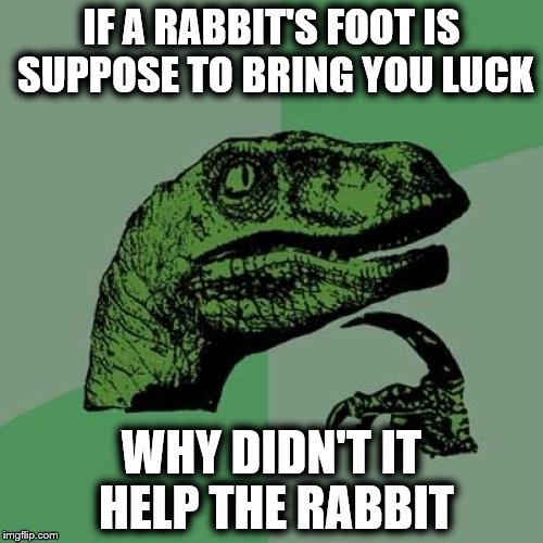 Rabbits Foot | IF A RABBIT'S FOOT IS SUPPOSE TO BRING YOU LUCK; WHY DIDN'T IT HELP THE RABBIT | image tagged in memes,philosoraptor,funny,rabbit,luck,pets | made w/ Imgflip meme maker