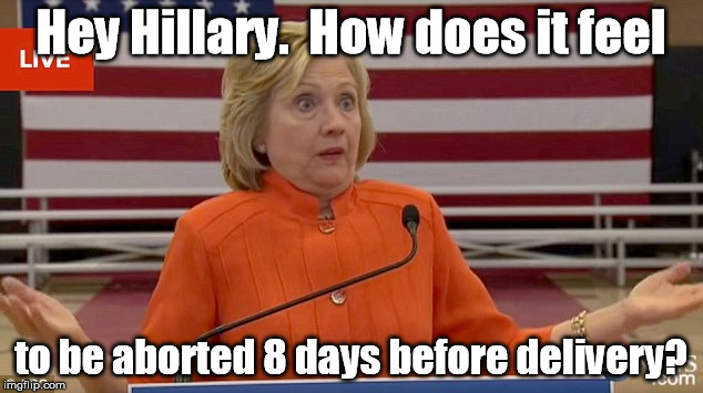 Hillary Clinton Fail | Hey Hillary.  How does it feel; to be aborted 8 days before delivery? | image tagged in hillary clinton fail | made w/ Imgflip meme maker