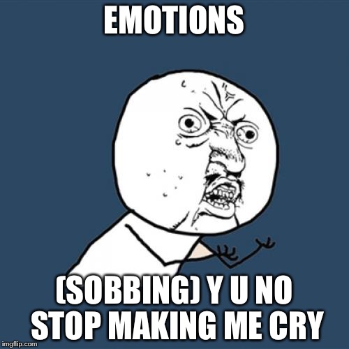 Y U No Meme | EMOTIONS; (SOBBING) Y U NO STOP MAKING ME CRY | image tagged in memes,y u no | made w/ Imgflip meme maker