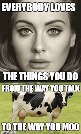 EVERYBODY LOVES; THE THINGS YOU DO; FROM THE WAY YOU TALK; TO THE WAY YOU MOO | image tagged in adele,cow | made w/ Imgflip meme maker