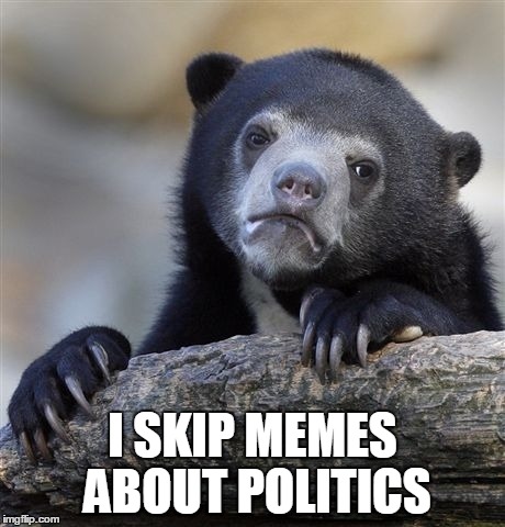 Confession Bear | I SKIP MEMES ABOUT POLITICS | image tagged in memes,confession bear | made w/ Imgflip meme maker