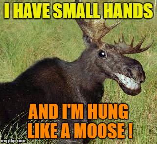 I HAVE SMALL HANDS AND I'M HUNG LIKE A MOOSE ! | made w/ Imgflip meme maker
