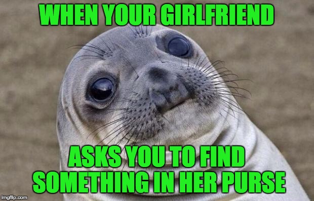 It's like reaching inside a black hole | WHEN YOUR GIRLFRIEND; ASKS YOU TO FIND SOMETHING IN HER PURSE | image tagged in memes,awkward moment sealion | made w/ Imgflip meme maker