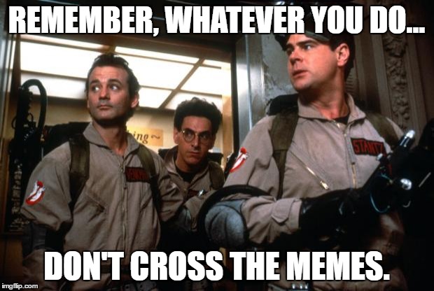 ghostbusters | REMEMBER, WHATEVER YOU DO... DON'T CROSS THE MEMES. | image tagged in ghostbusters | made w/ Imgflip meme maker