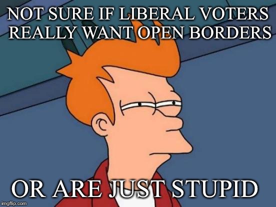 Futurama Fry | NOT SURE IF LIBERAL VOTERS REALLY WANT OPEN BORDERS; OR ARE JUST STUPID | image tagged in memes,futurama fry | made w/ Imgflip meme maker