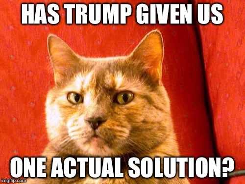 Suspicious Cat Meme | HAS TRUMP GIVEN US; ONE ACTUAL SOLUTION? | image tagged in memes,suspicious cat | made w/ Imgflip meme maker