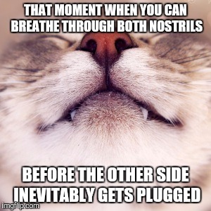 THAT MOMENT WHEN YOU CAN BREATHE THROUGH BOTH NOSTRILS; BEFORE THE OTHER SIDE INEVITABLY GETS PLUGGED | image tagged in breathe,nostrils,sick,plugged,stuffed up,that moment | made w/ Imgflip meme maker
